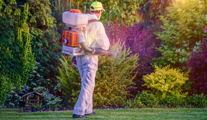 Autumn/Fall tips for pest control service