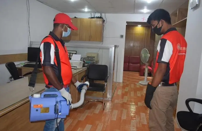 Best pest control services in Rampura