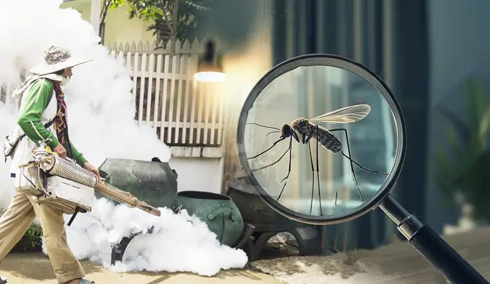 How to keep home mosquito-free