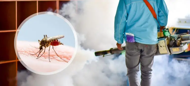 Professional mosquito control services