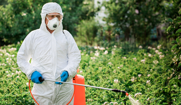 Year-Round Tips for Pest Control